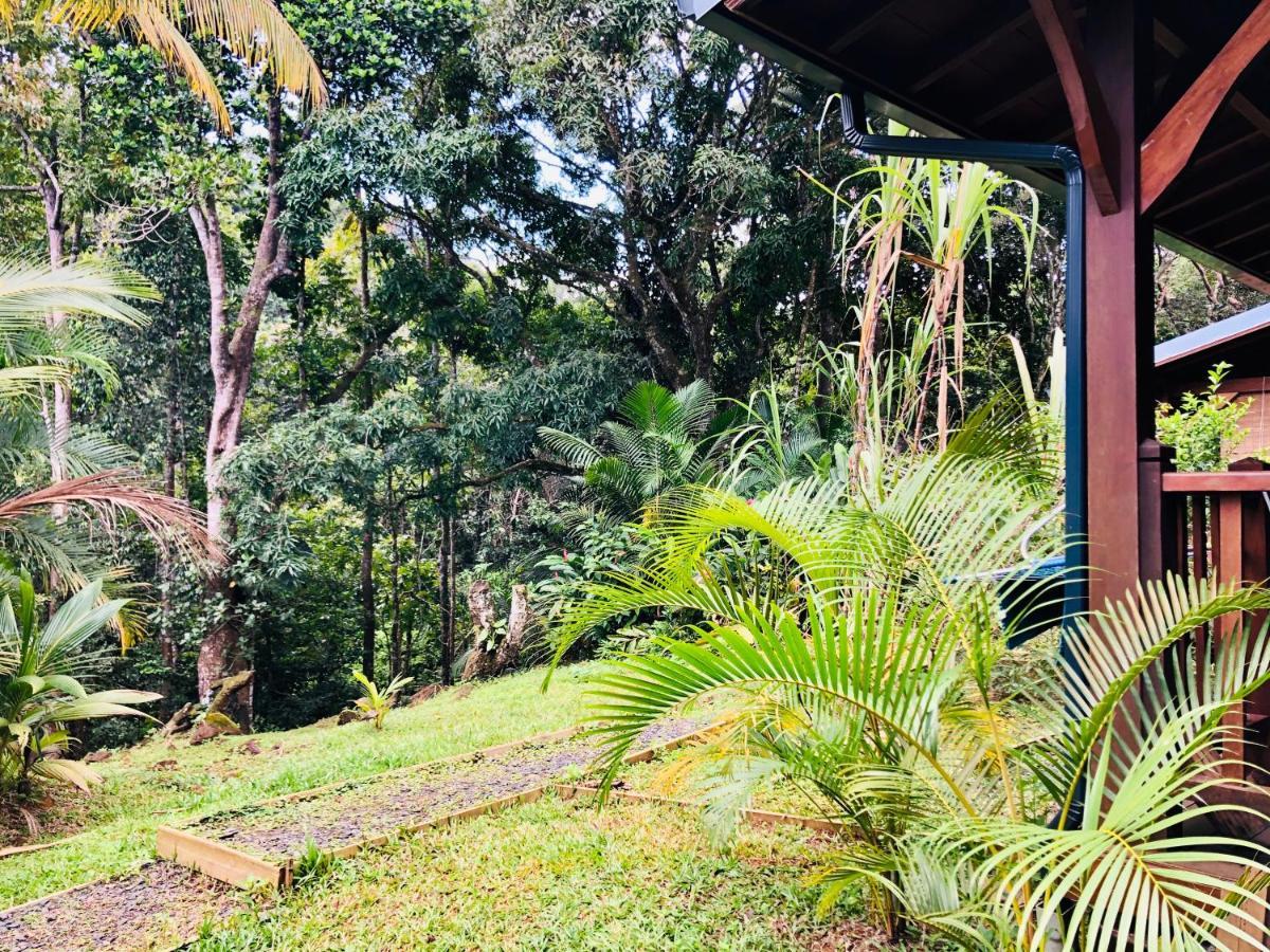 Gwada Natura Ecolodges & Spa Sainte-Rose Esterno foto